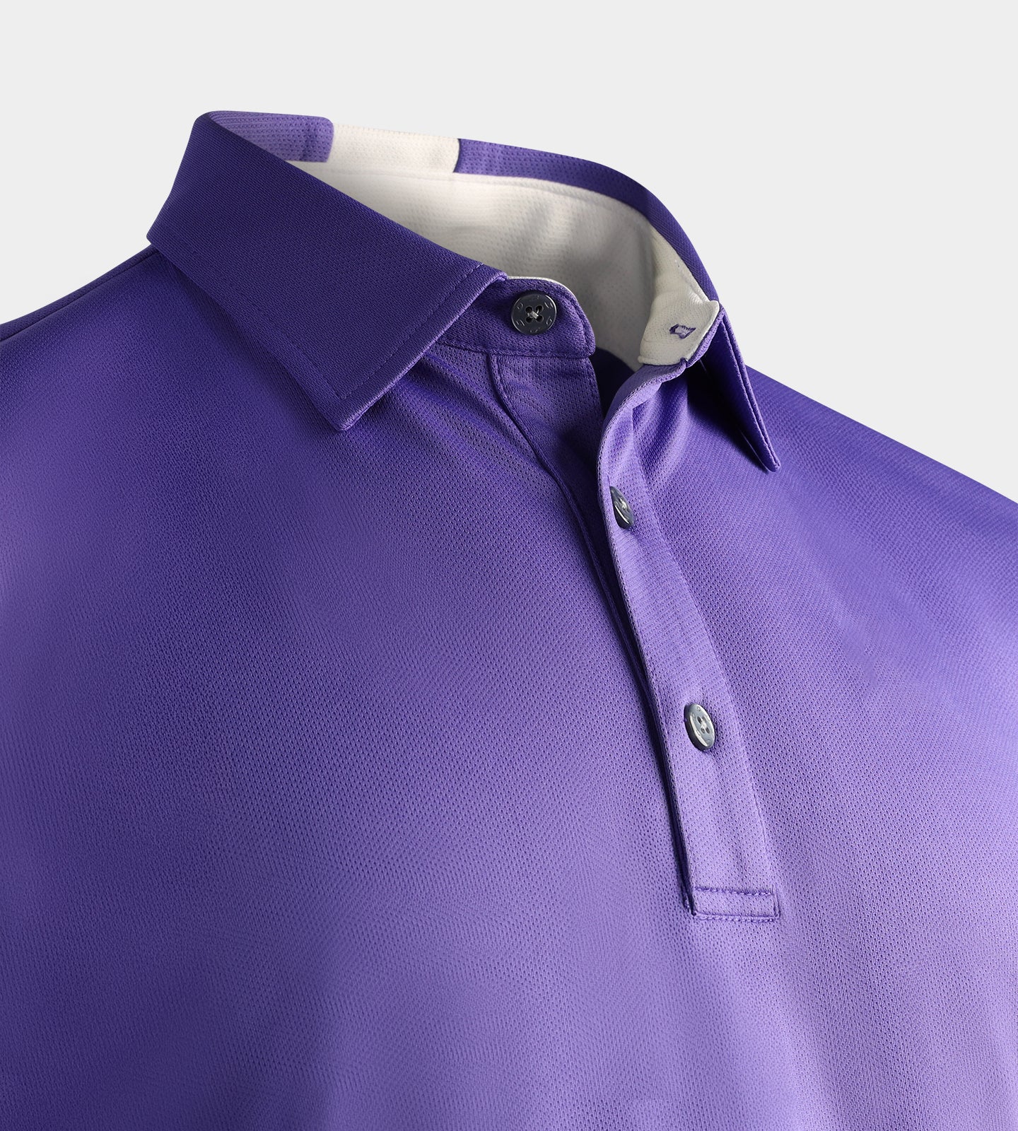 ACADEMY POLO - PURPLE - Image 6
