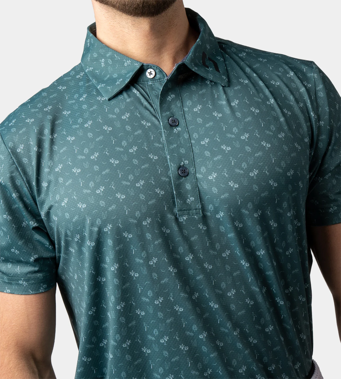 CALIFORNIA POLO - SAGE - Image 5