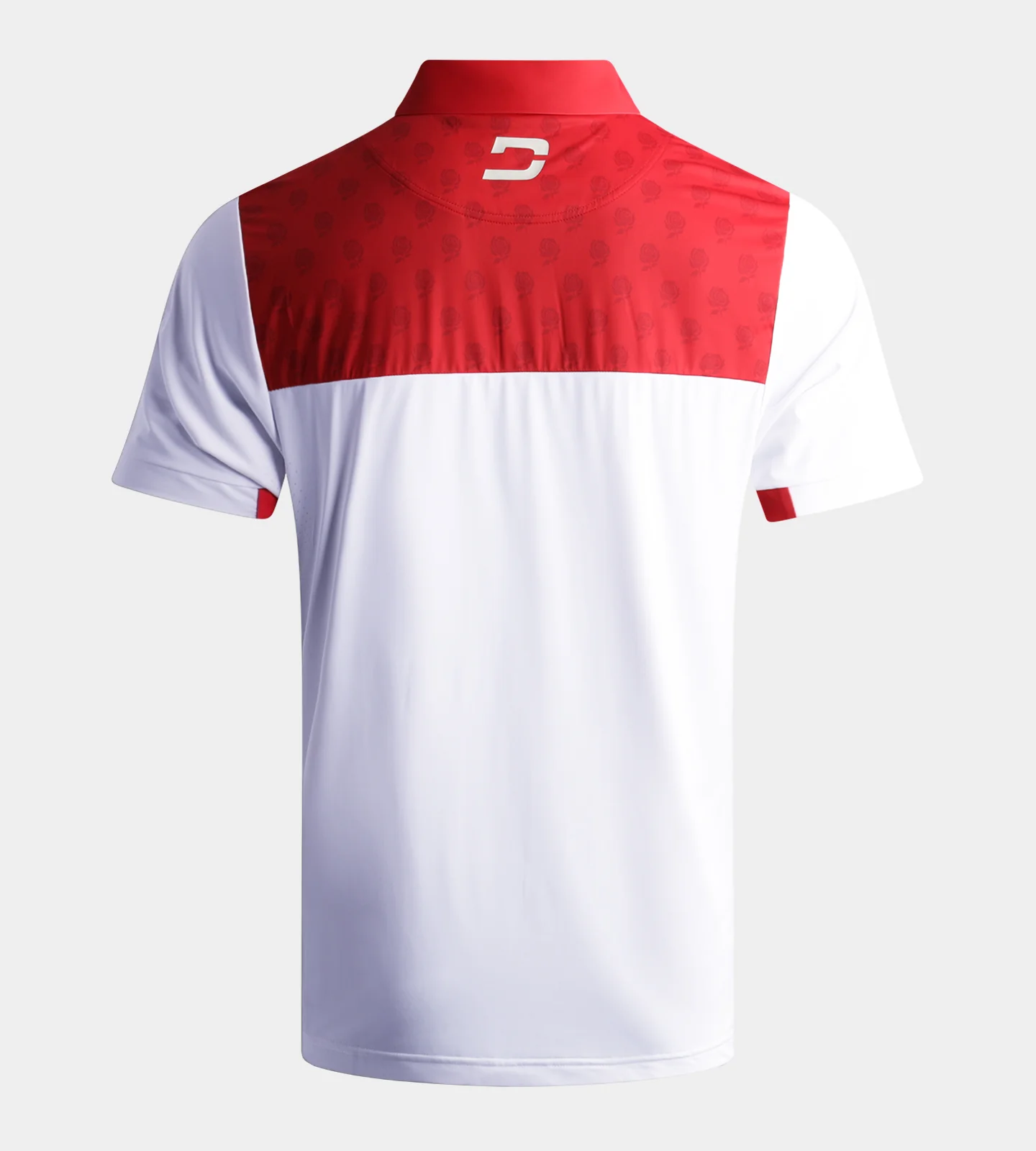 NATIONS POLO - ENGLAND - Image 2