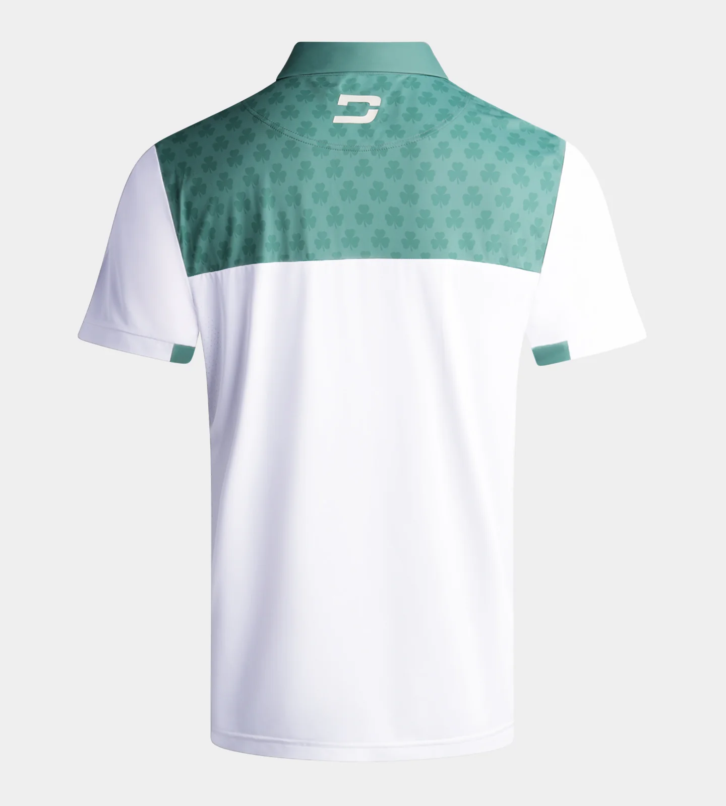 NATIONS POLO - IRELAND - Image 2