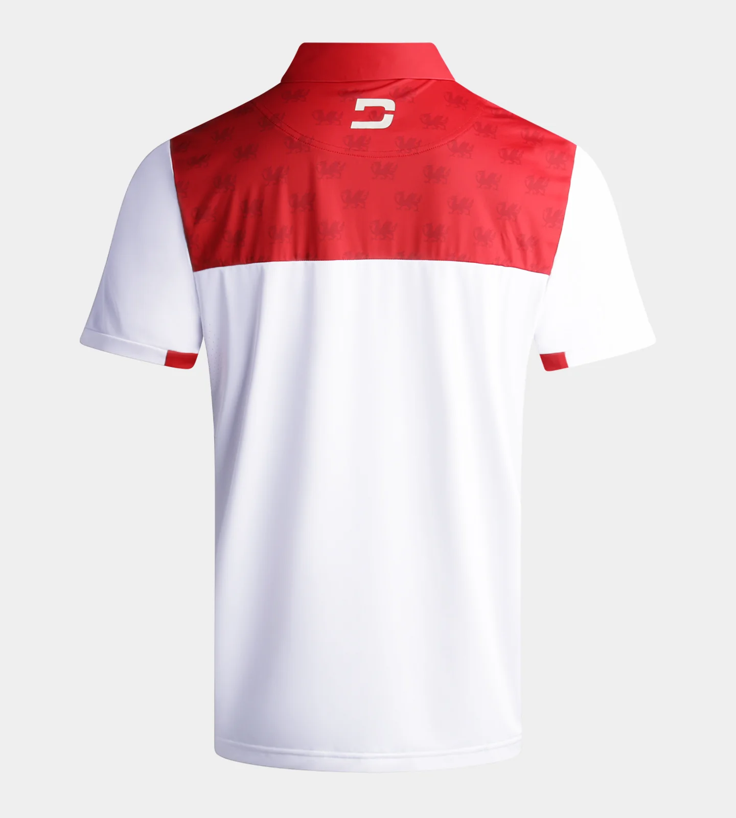 NATIONS POLO - WALES - Image 2